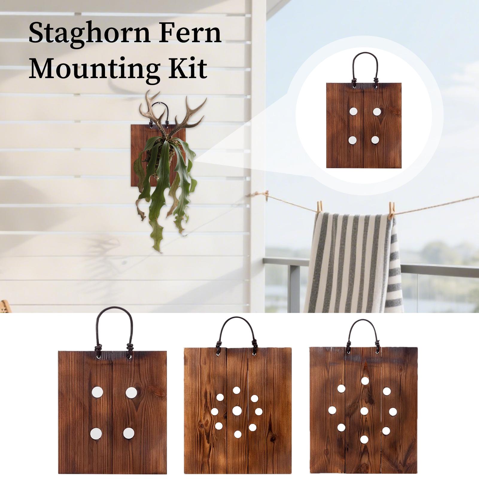 Plant Parents - Staghorn Fern Wall Mount Board Wooden