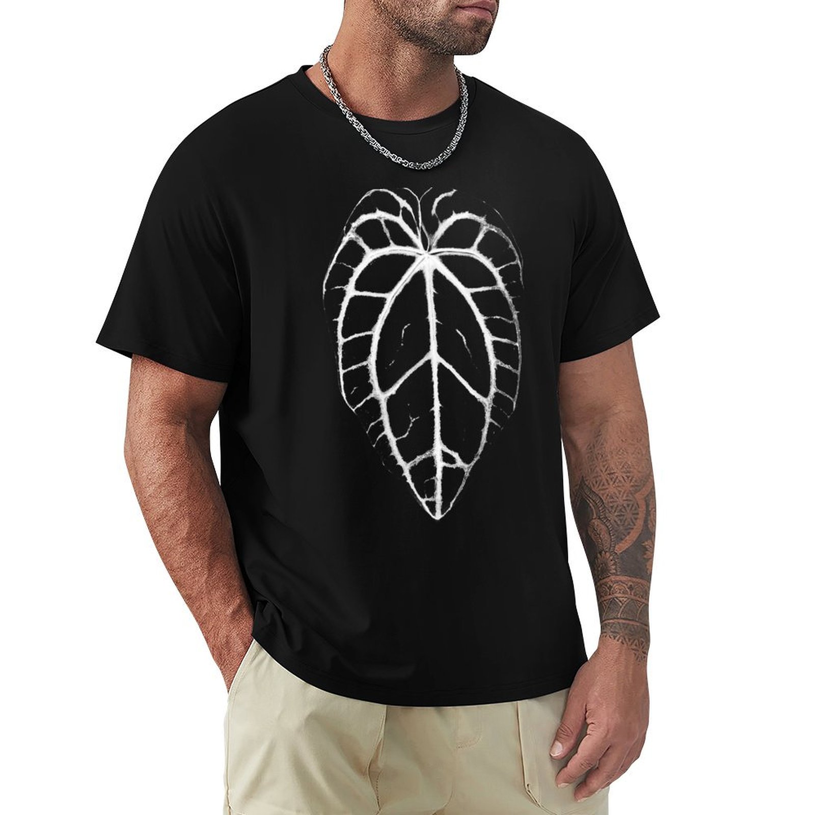 ANTHURIUM CRYSTALLINUM VEINS T - Anthurium Crystallinum ulasan dan harga