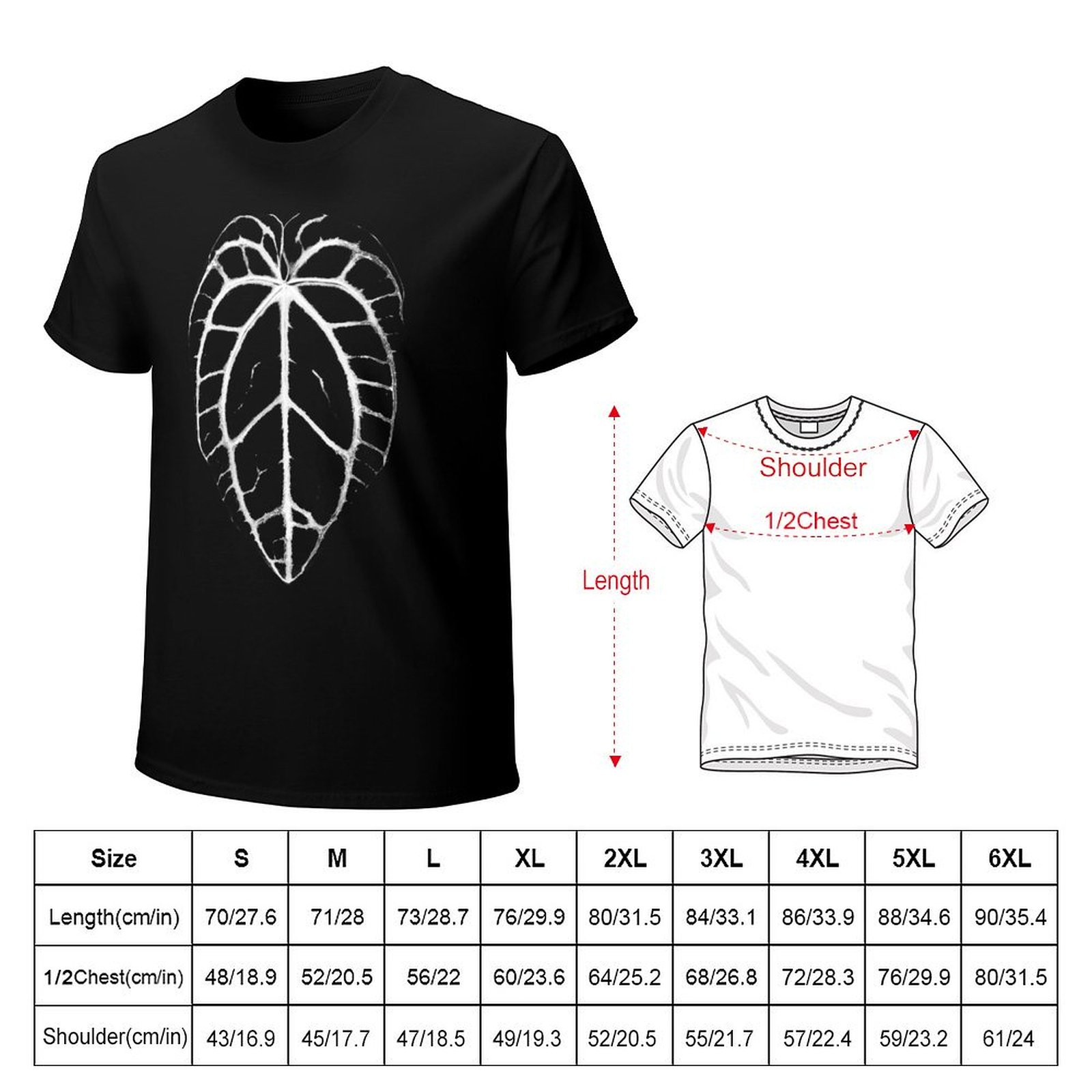 ANTHURIUM CRYSTALLINUM VEINS T - Anthurium Crystallinum ulasan dan harga