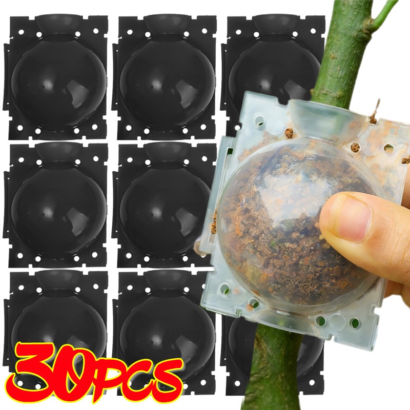 Reusable Plant Rooting Ball Gr - Plant Parents ulasan dan harga