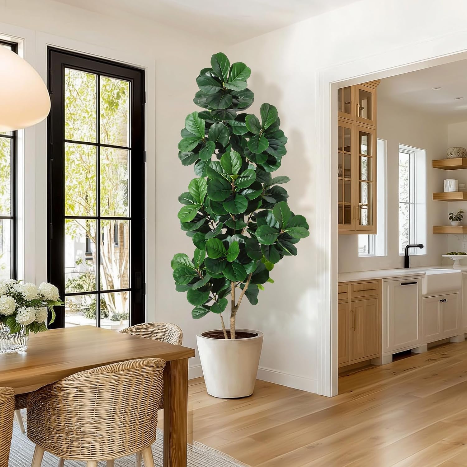 4-7 FT Fiddle Leaf Fig Tree Ar - Plant Parents ulasan dan harga
