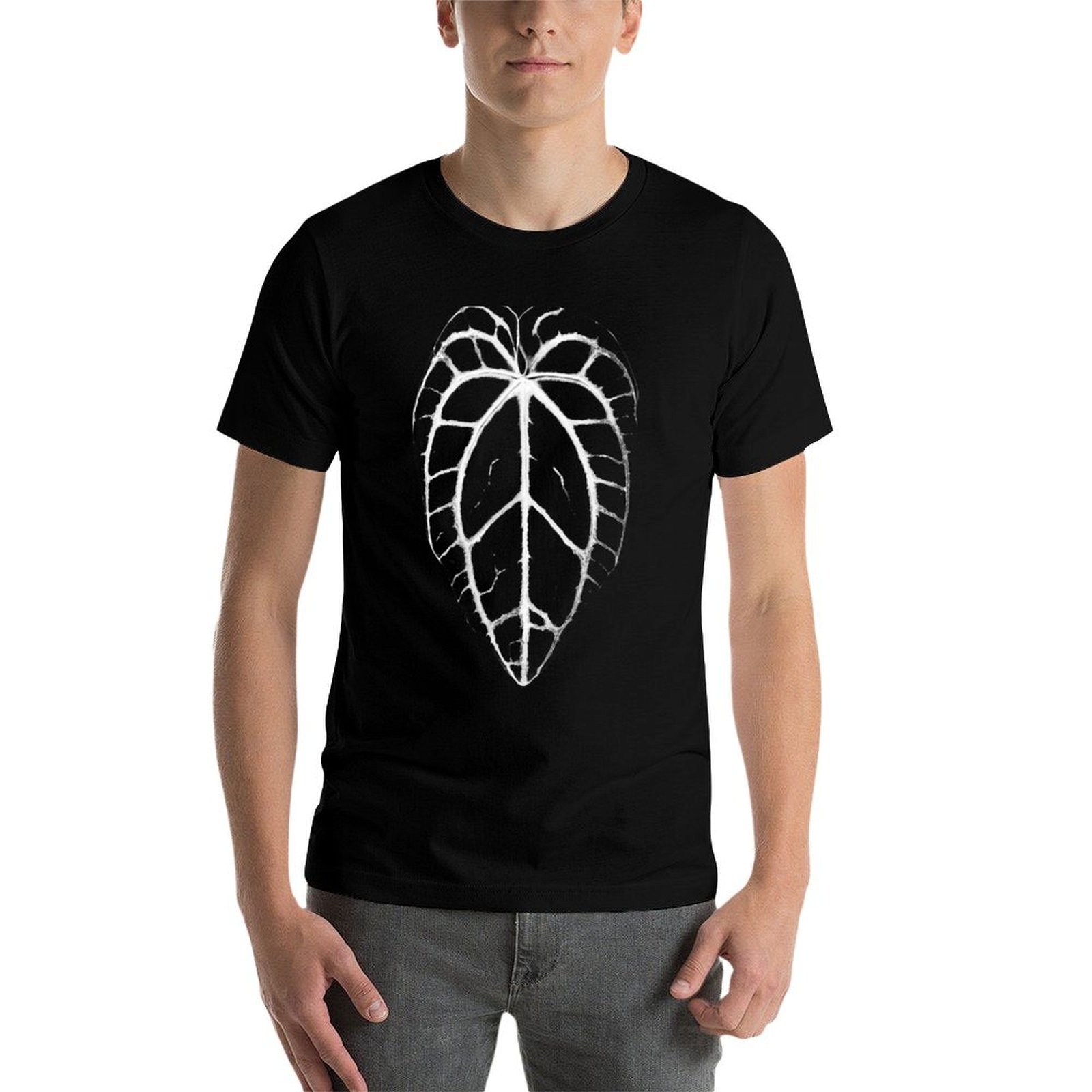 ANTHURIUM CRYSTALLINUM VEINS T - Anthurium Crystallinum ulasan dan harga