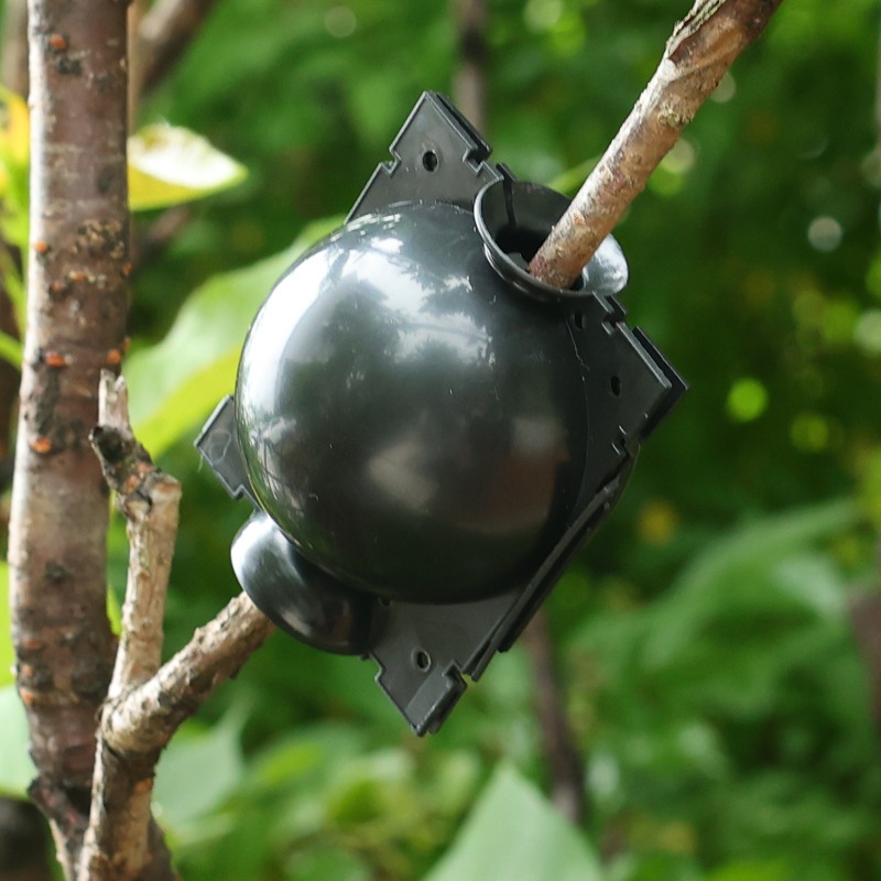 Air Layering Pods Plant Rootin - Plant Parents ulasan dan harga