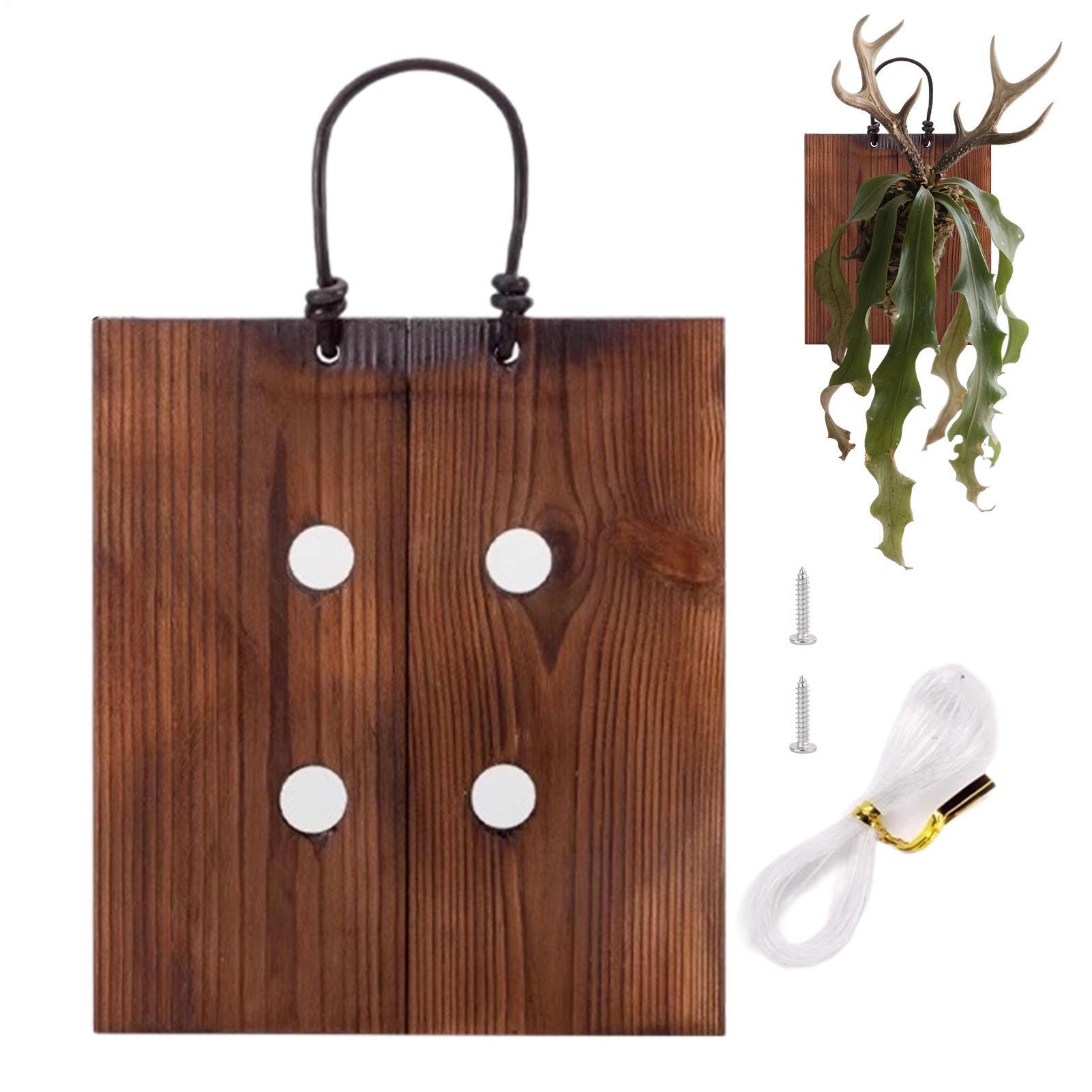 Staghorn Fern Wall Mount Board - Plant Parents ulasan dan harga